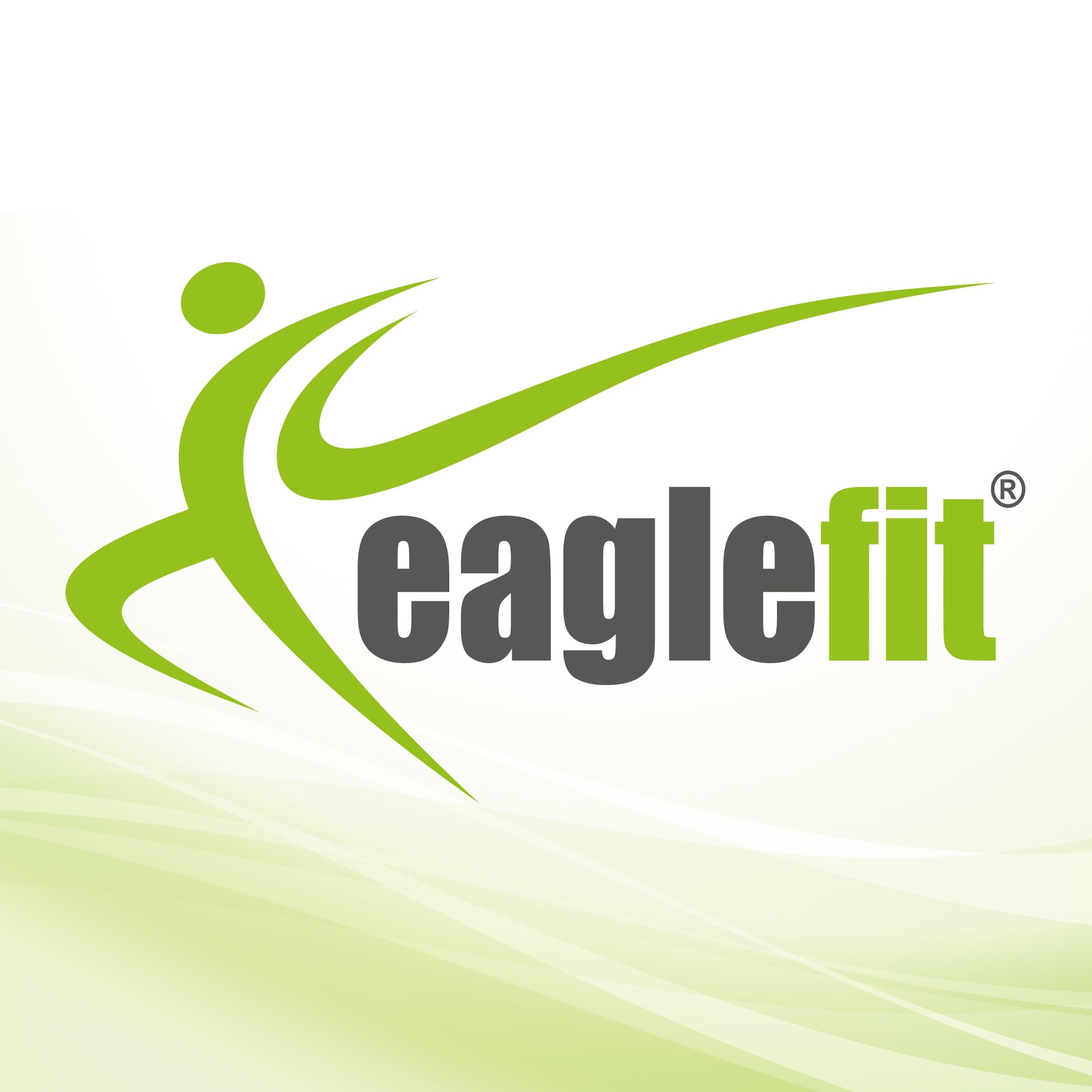 eaglefit - Premium Sling Trainer „Allround“ - Schlingentrainer für Zuhause & Outdoor inkl. Türanker, Umlenkrolle, Deckenhalterung & Zubehör für Krafttraining & Muskelaufbau - Verstellbar 90-310 cm