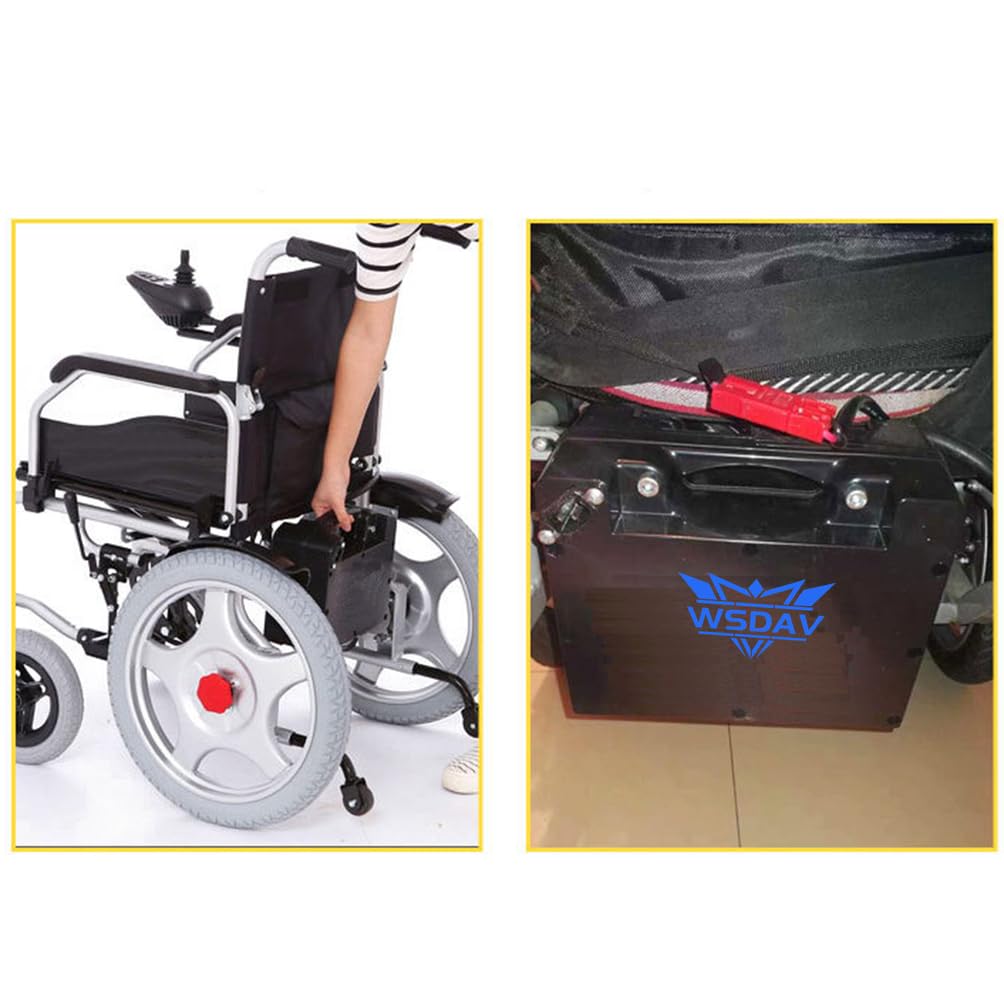 Batería para Silla de Ruedas eléctrica de 24 V LiFePO4, 24 V, 15 Ah, 20 Ah, 25 Ah, 30 Ah, 35 Ah, 40 Ah, 45 Ah, 50 Ah, 60 Ah, con Cargador.