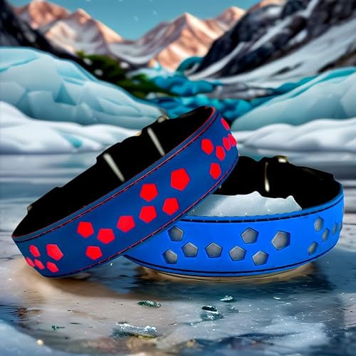 DOGLED Collar subversivo para perro con luz LED USB-C, diseño subversivo de Navidad 3D, material cómodo y suave, iluminación multicolor (M (15.7 a