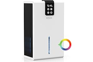 Lecdura Dehumidifier: Say Hello to a Dry and Healthy Home