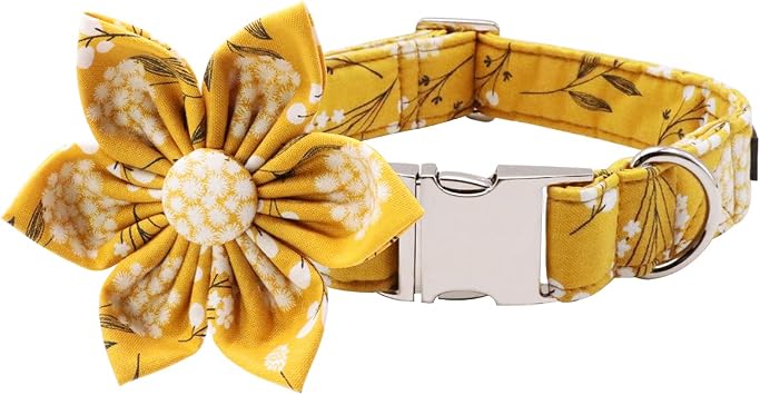Lionet Paws Dog Collar with Flower, Soft and Comfortable, Adjustable Collar for Small Dogs Girl, Neck 10-16 inches