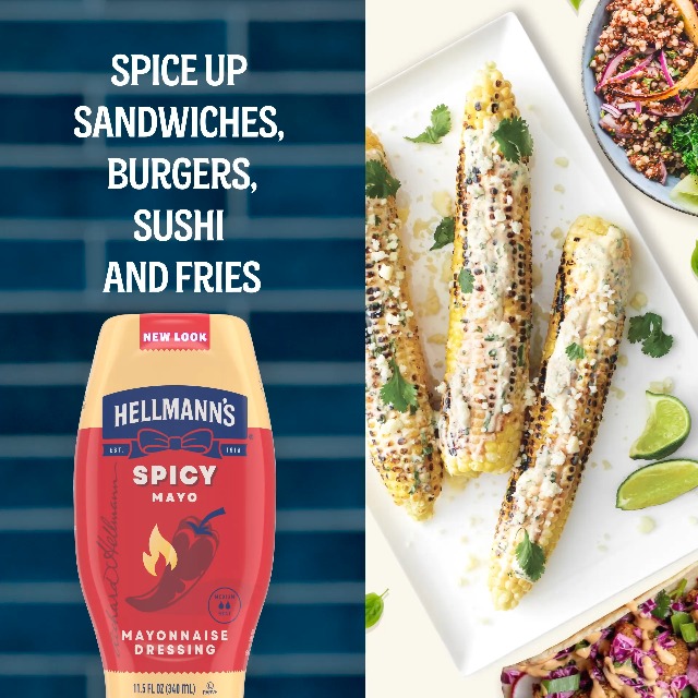 Amazon.com : Hellmann's Spicy Mayonnaise Dressing Squeeze Bottle