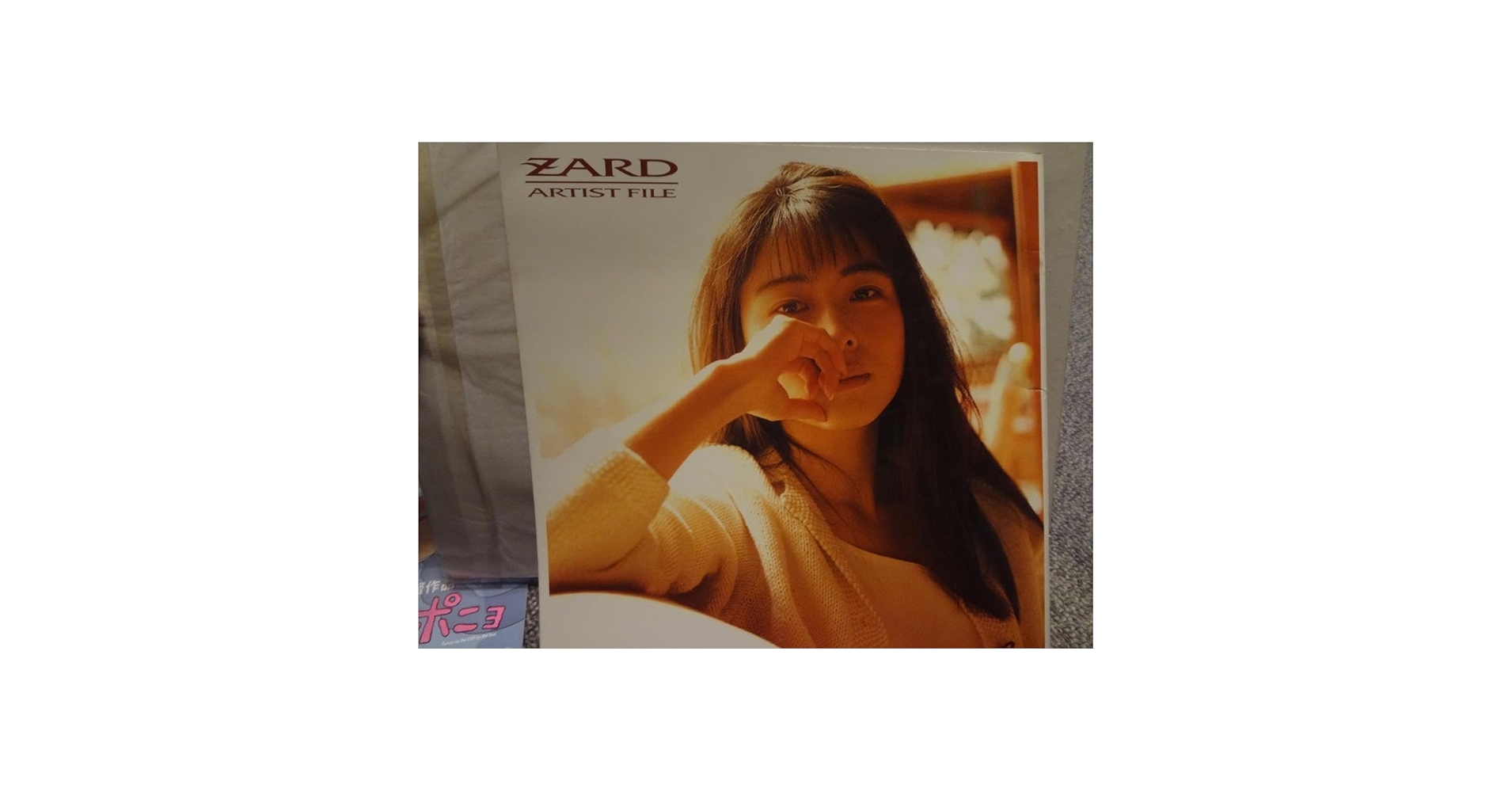 Amazon.co.jp: ZARD 坂井泉水 写真集 ARTIST FILE : おもちゃ