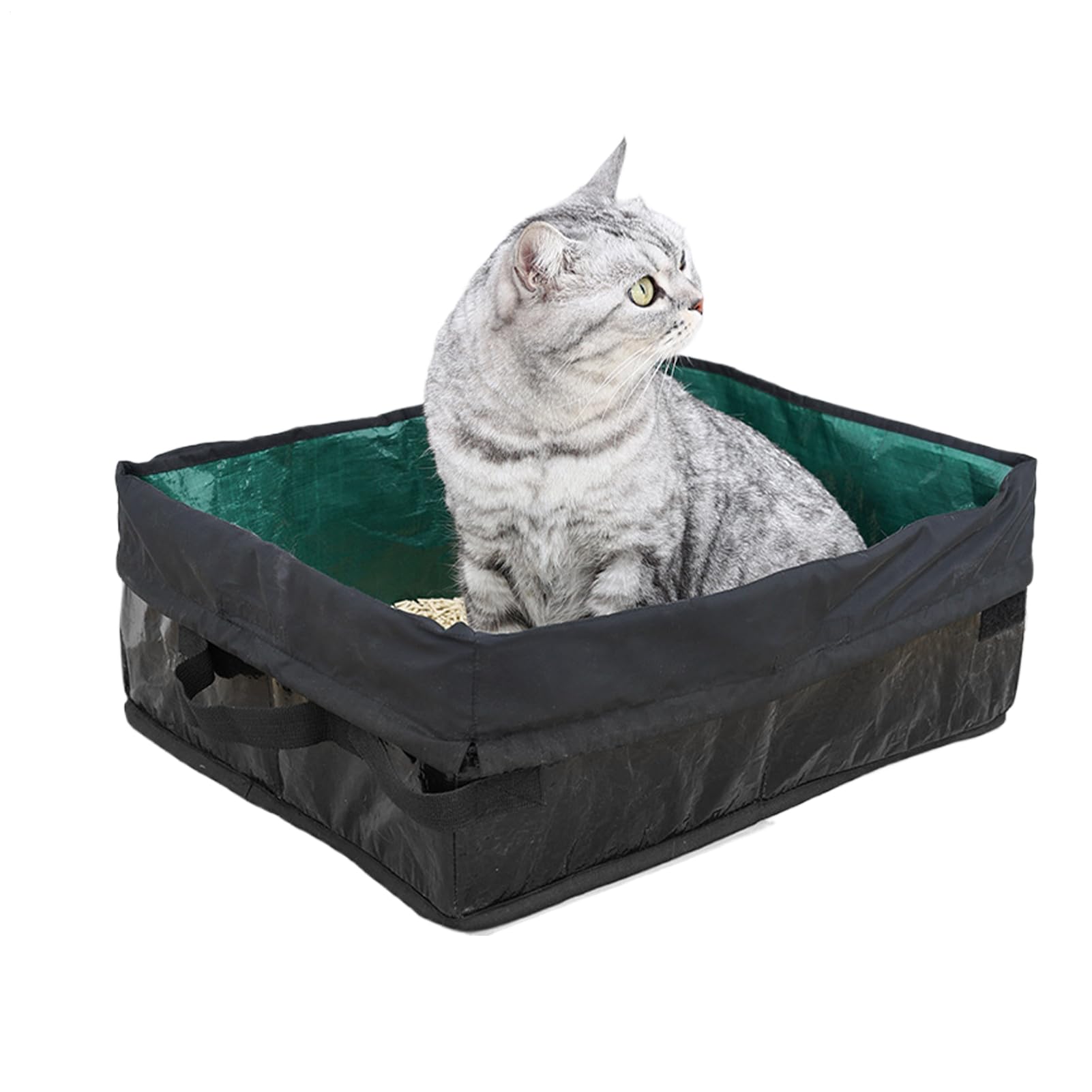 Litière de voyage pliable pour chat : finies les odeurs et les fuites pendant vos déplacements