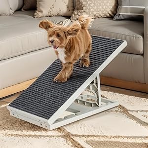 2 in 1 Dog Ramp Bed for Small Medium Pets Folding Collapsible Adjustable Cat Ramps with Non Slip Carpet Portable Indoor Puppy Ramp for Sofa,Chair