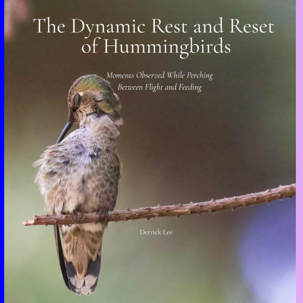 The Dynamic Rest and Reset of Hummingbirds: Moments Observed While Perching Between Flight and Feeding (Dynamic Hummingbirds)