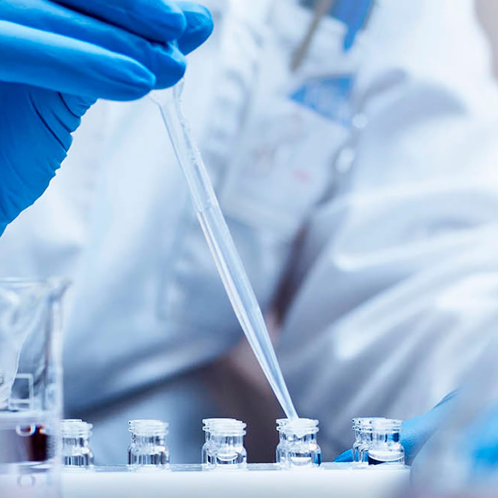 500 sztuk pipety transferowe 3 ml, pipety z tworzywa sztucznego, pipety pomiarowe ze stopniowanym oznaczeniem, pipety pomiarowe do laboratoriów, przemys?u i rzemios?a