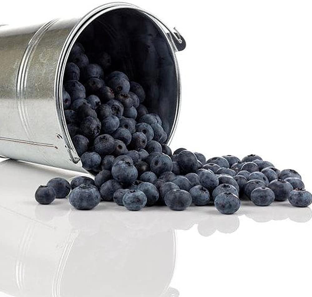 DFBTYG 100pcs Blueberry Seeds Summer Berries for Your Secret Garden Planting Sweet and Crunchy Blueberry Fruit Ideal for Gardeners