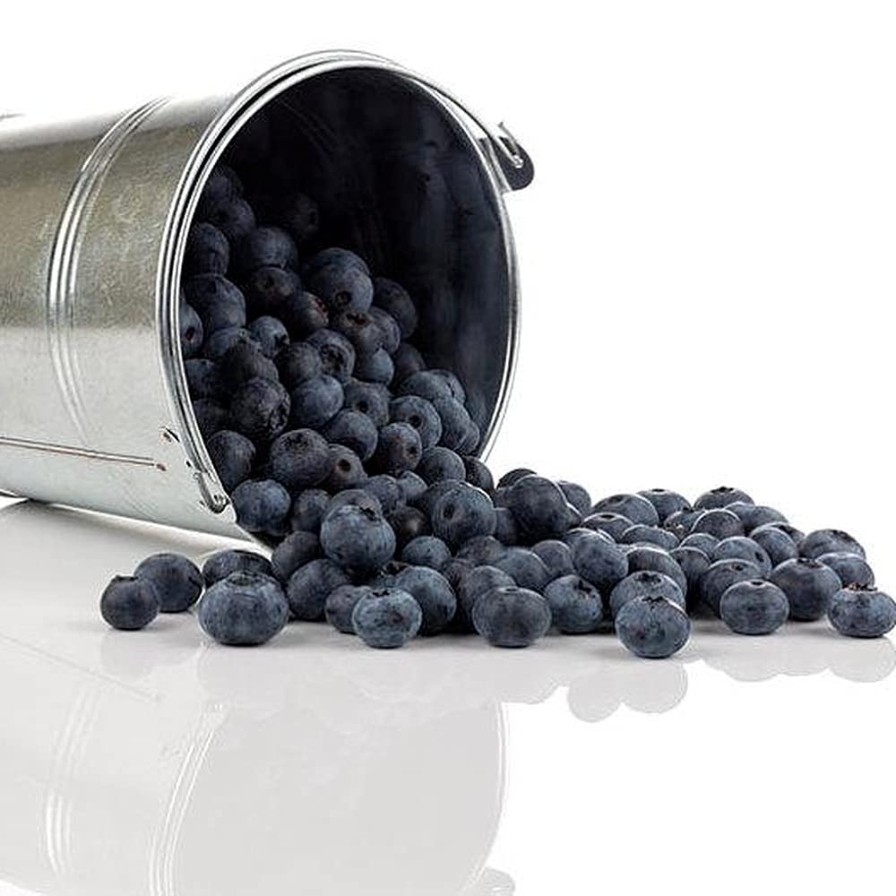 DFBTYG 100pcs Blueberry Seeds Summer Berries for Your Secret Garden Planting Sweet and Crunchy Blueberry Fruit Ideal for Gardeners