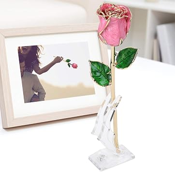 Gold Dipped Rose, 24K Gold Plated Red Rose, Long Stem Gold Dipped Rose with Stand and Gift Box, Long Stem Eternity Rose Flower for Valentine ' s Day, Mother ' s Day, Anniversary, Wedding