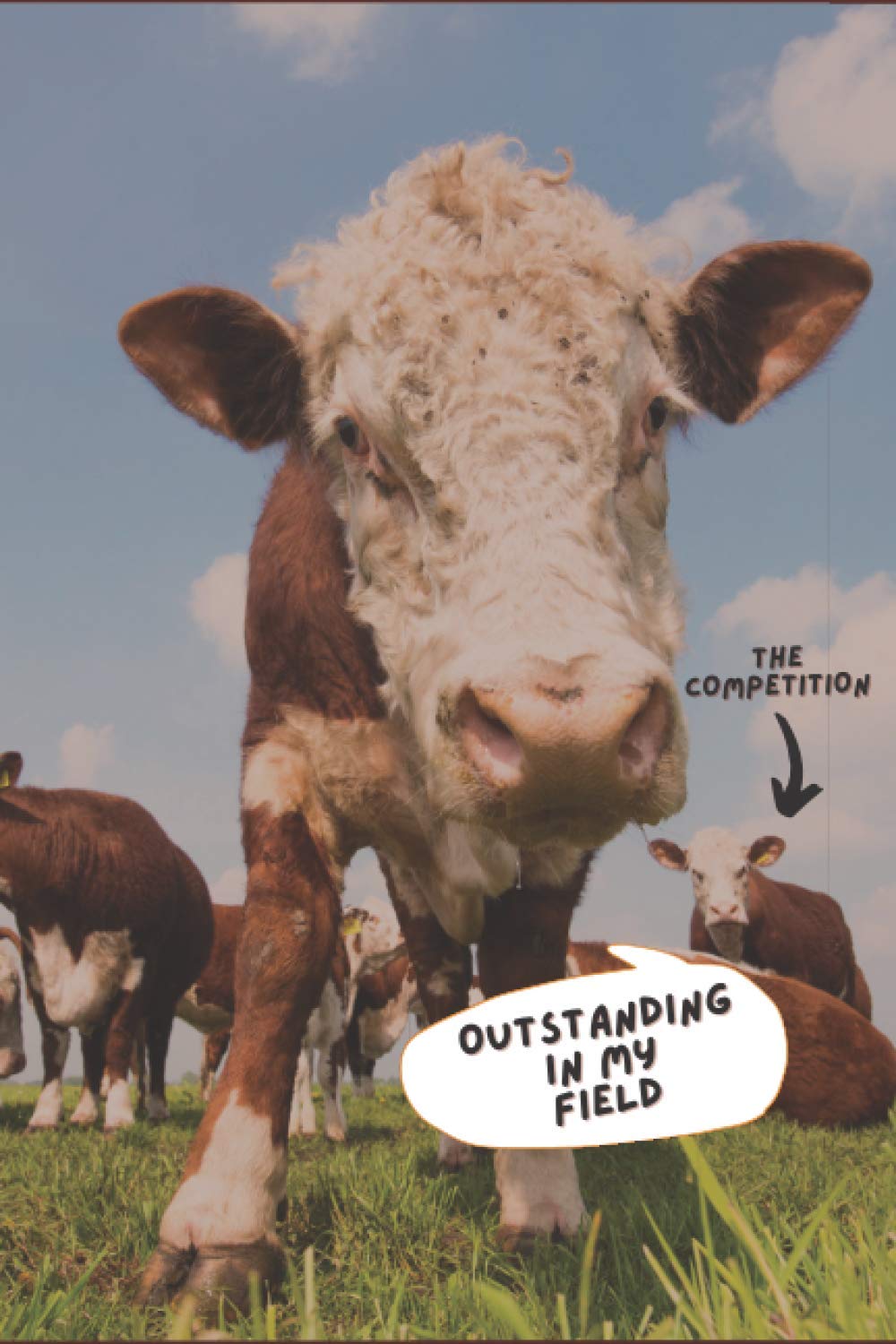 Cow Notebook: Funny Winner Journal Notebook with Hereford Cows Outstanding In My Field - Celebrate Success - Perfect for a Graduation!