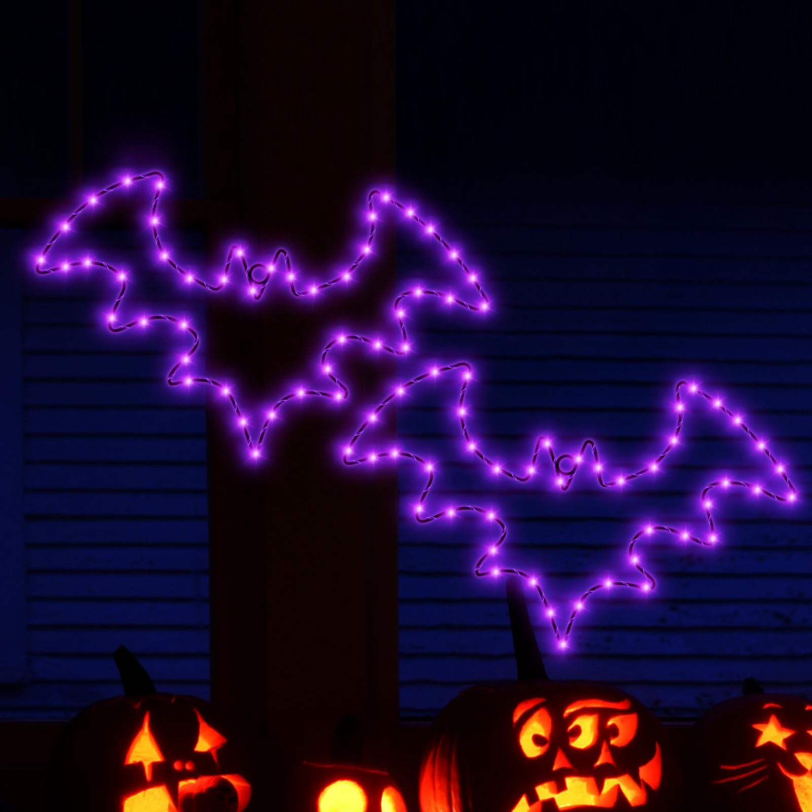 Lumières d'Halloween à piles pour fenêtre extérieure lot de 2 chauve-souris étanches
