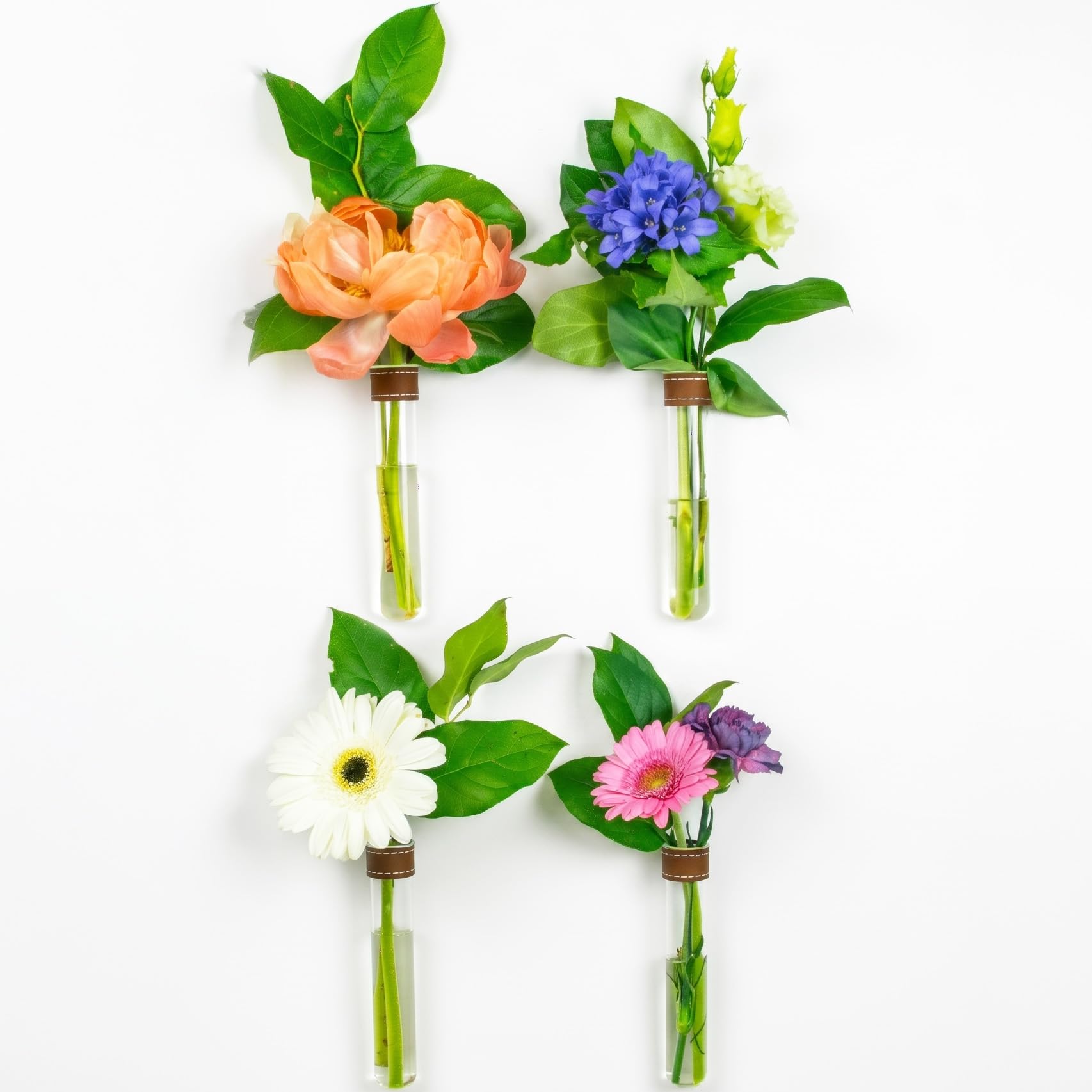 Amazon.com - TWILG Magnetic Wall Hanging Plant Propagation Station