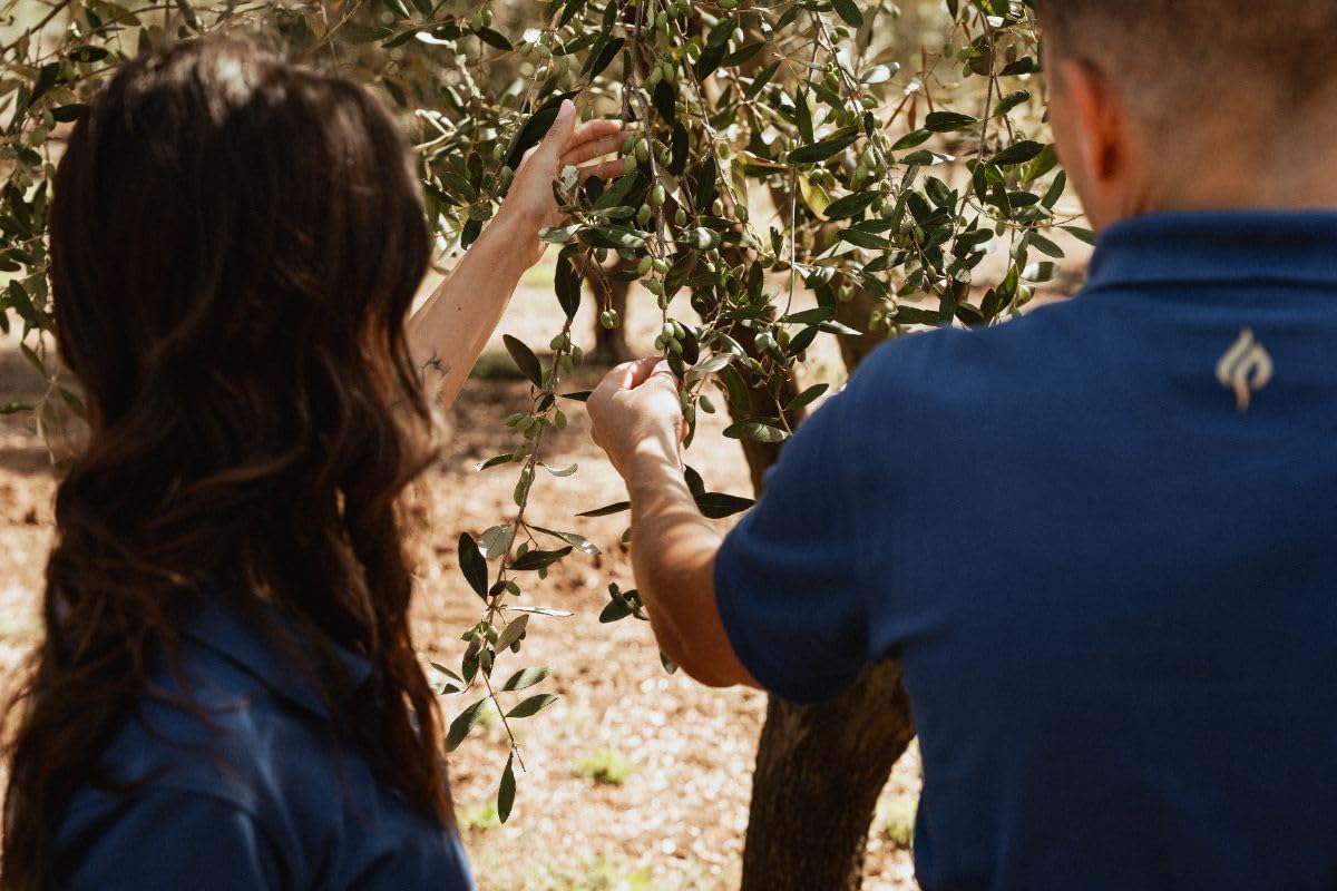 Aceite élite - Aceite de Oliva Virgen Extra Ecológico Ottobratica 5L en lata, AOVE italiano de extracción en frío, afrutado medio filtrado premium para cocina gourmet