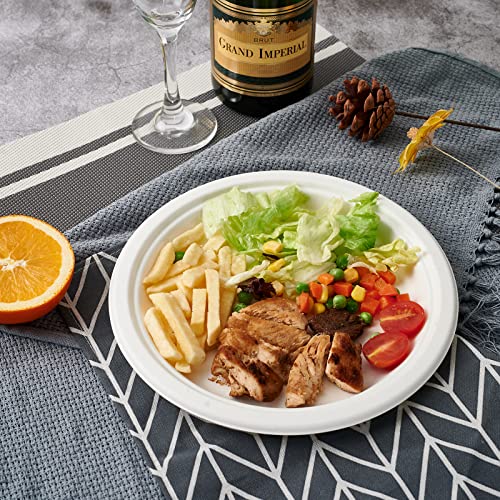 Ecolipak 100% Compostable 10 Inch Paper Plates, 150 Pack Heavy Duty Paper Plates, Disposable Biodegradable Eco-Friendly Sugarcane Bagasse Plates For Dinner Party(White) #TOP2