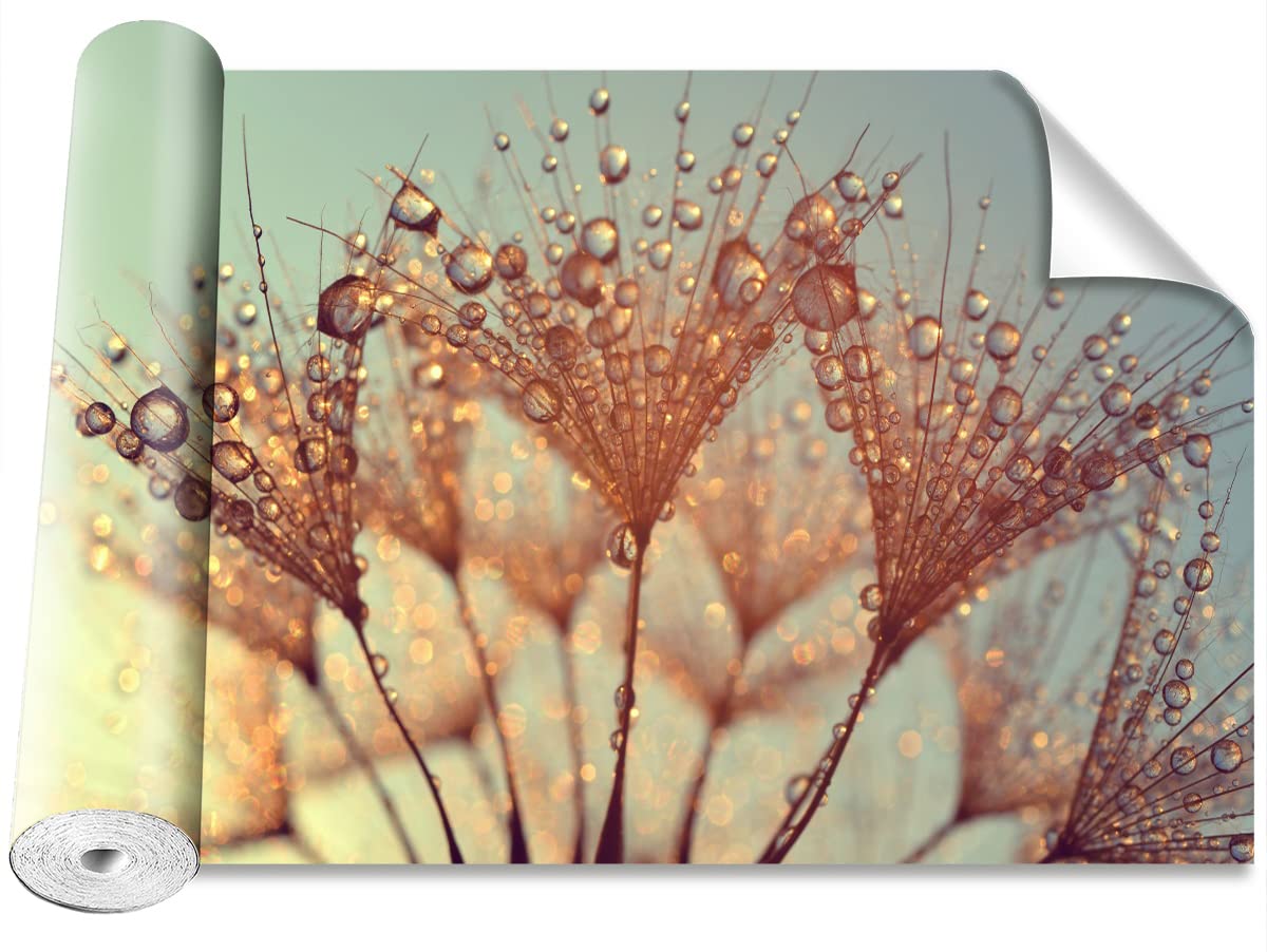 Papier Peint Dandelion Rosa 250x104cm pour Décoration Murale de Maison
