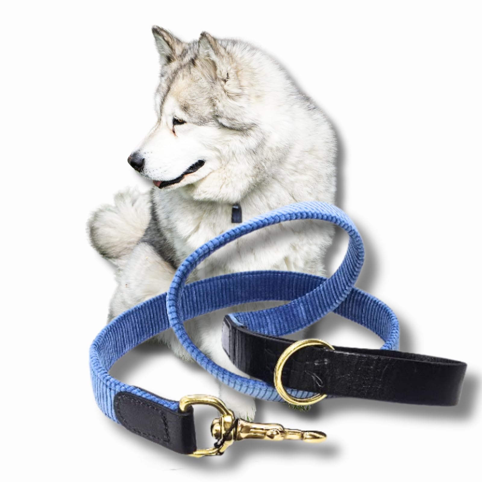 Luxury Handcrafted Dog Lead, Marine Blue Cord & Black Leather for Large Dogs & Puppies, Made in UK, Vegetable-Dyed Italian Leather and Wide Wale Corduroy, Designer Pet Leash (Large)