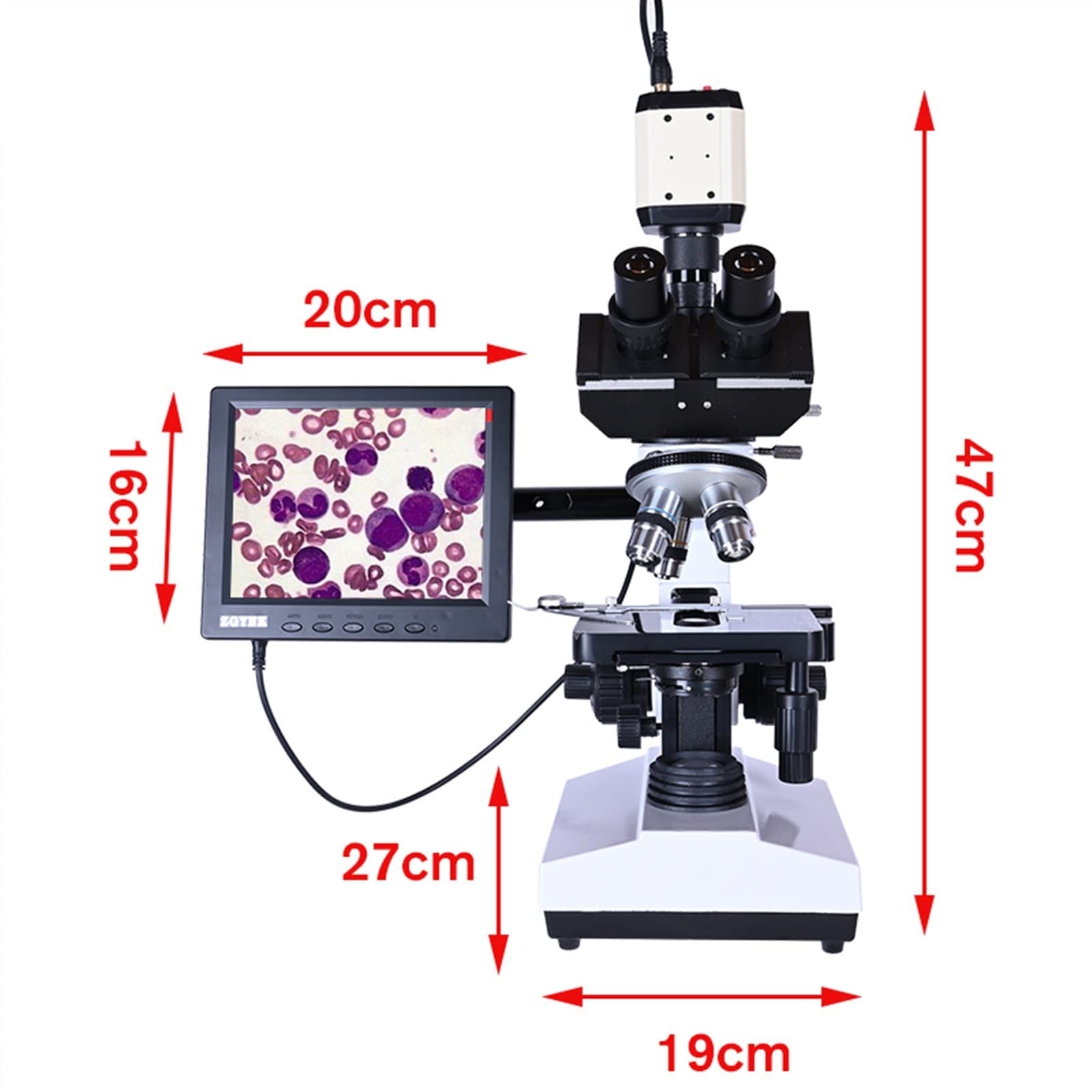 9 cal LCD profesjonalne laboratorium biologiczny HD Trinocular mikroskop Zoom 2500X + USB VGA CVBS elektroniczna cyfrowa kamera ccd(Set 2)