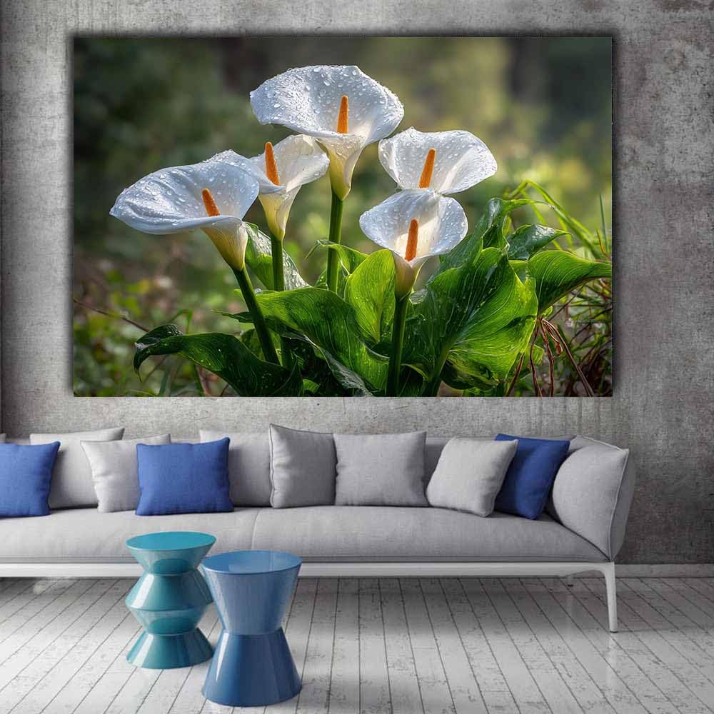 ZAMAEIU Peintures de paysages naturels Fleurs parsemées de rosée grandes peintures de paysages modernes pour salon, chambre, salle de bain, salle à manger(blanc)-60x90cm Encadrée