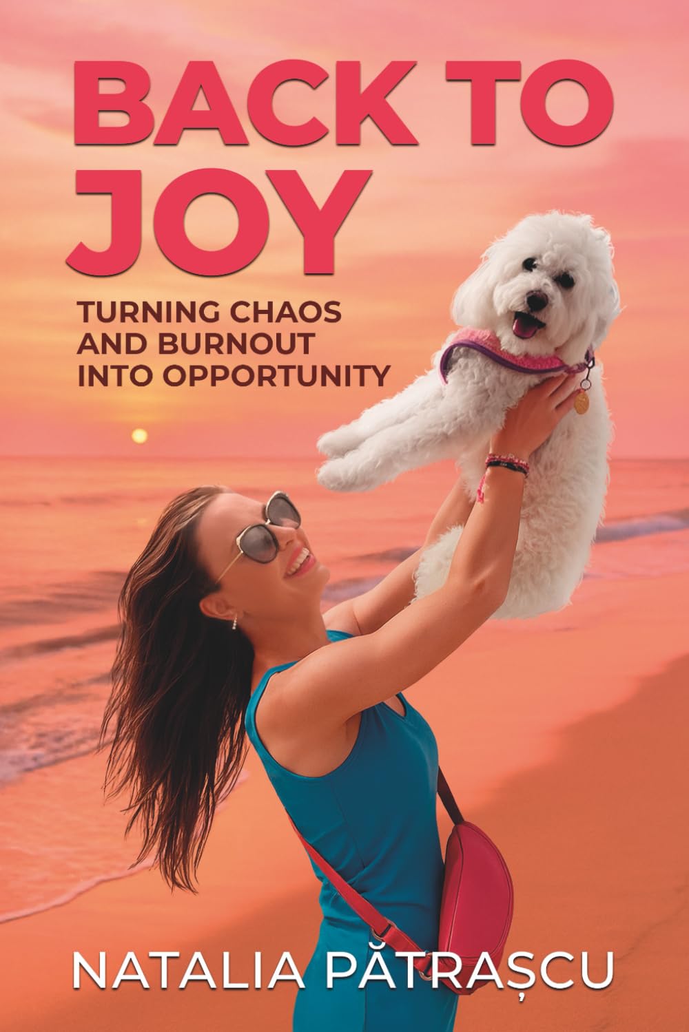 Back to Joy: Turning Chaos and Burnout into Opportunity