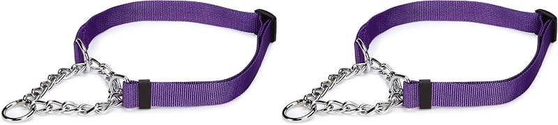 Coleira Martingale Ajustável para Cães Guardian Gear de Nylon e Metal 33–46 cm, Pacote com 2