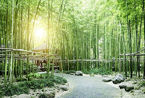 Papier Peint déco poster BAMBOUS VERTS 3 x 2,70 m | Déco et photo murale XXL Qualité HD Scenolia