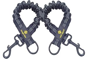 Bungee Dog Leash Extension: Prevent Injuries, Save Dogs from Harm