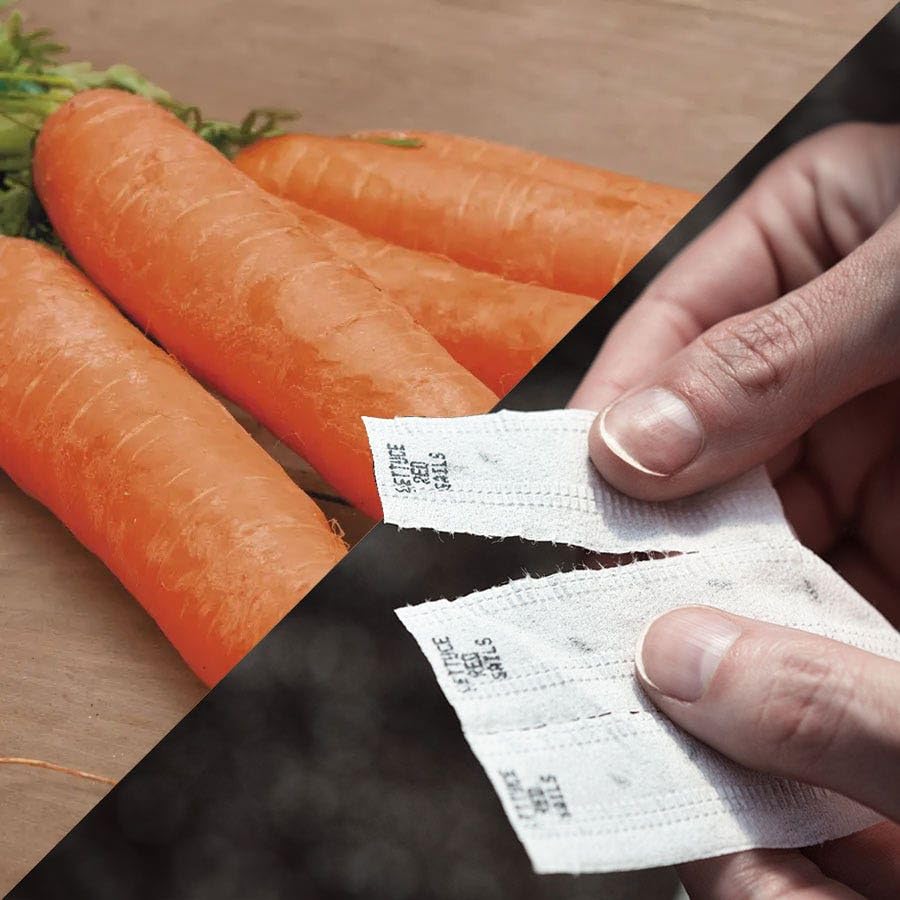 Park Seed Sow Effortless Collection Seed Tape Little Finger Carrot 15 Feet Easy DIY Planting Sweet Baby Carrots with No Thinning Required Compact Size for Containers and Rows Ready in 60 Days