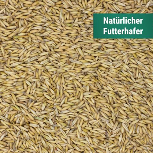 Agrarzone Hafer Pferd gereinigt 20 kg - Österreichischer Hafer für Pferde mit AMA-Gütesiegel - 100% Gentechnikfreier Futterhafer Pferdefutter