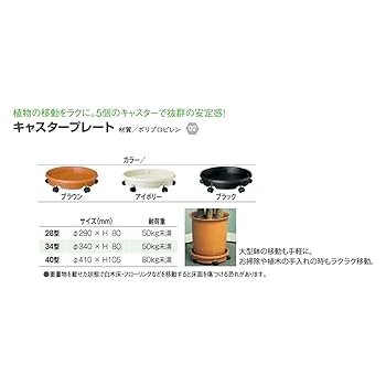 専用　備前　大鉢　海外作家作（不詳）　共箱　幅約28㎝　東Y7-0710②タニオ 専用 備前 大鉢 海外作家作（不詳） 共箱 幅約28㎝ 東Y7-