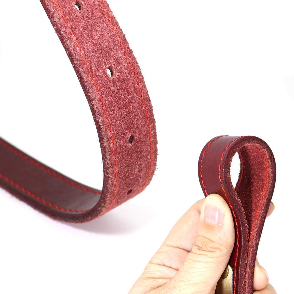 LYVQZPWLRIl Cane Porta, Guinzagli for Animali Domestici, Collare in Pelle Personalizzato for Cani, Fibbia in Pelle Dorata, Collare identificativo for Animali Domestici(Red,XS)
