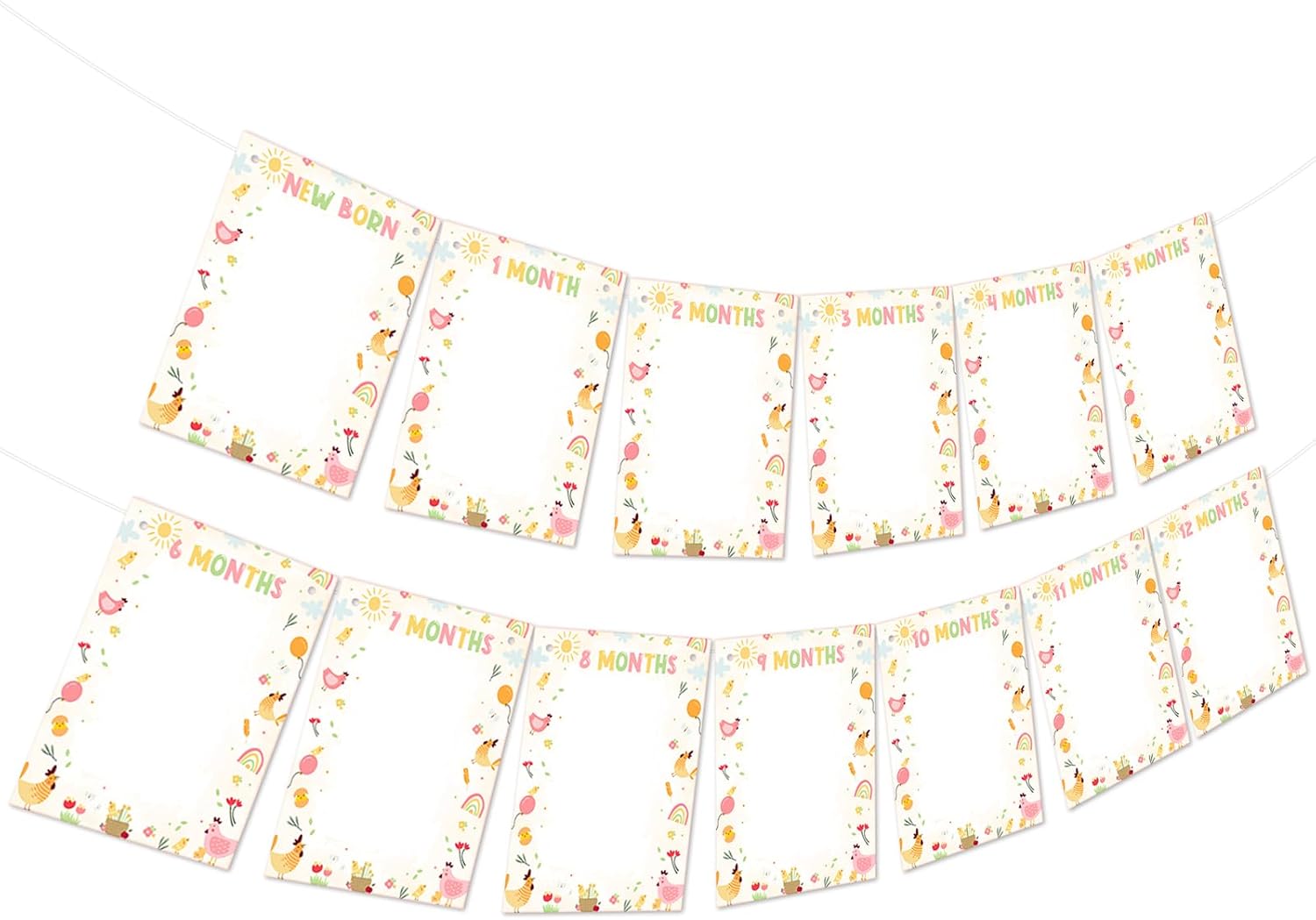 Chicken Photo Banner First Birthday Decorations Cartoon Cute Chick Party Photo Banner From Newborn to 12 Months This Chick Is One Banner For Boys Girls Farm Animal Themed Birthday Party Decor Supplies