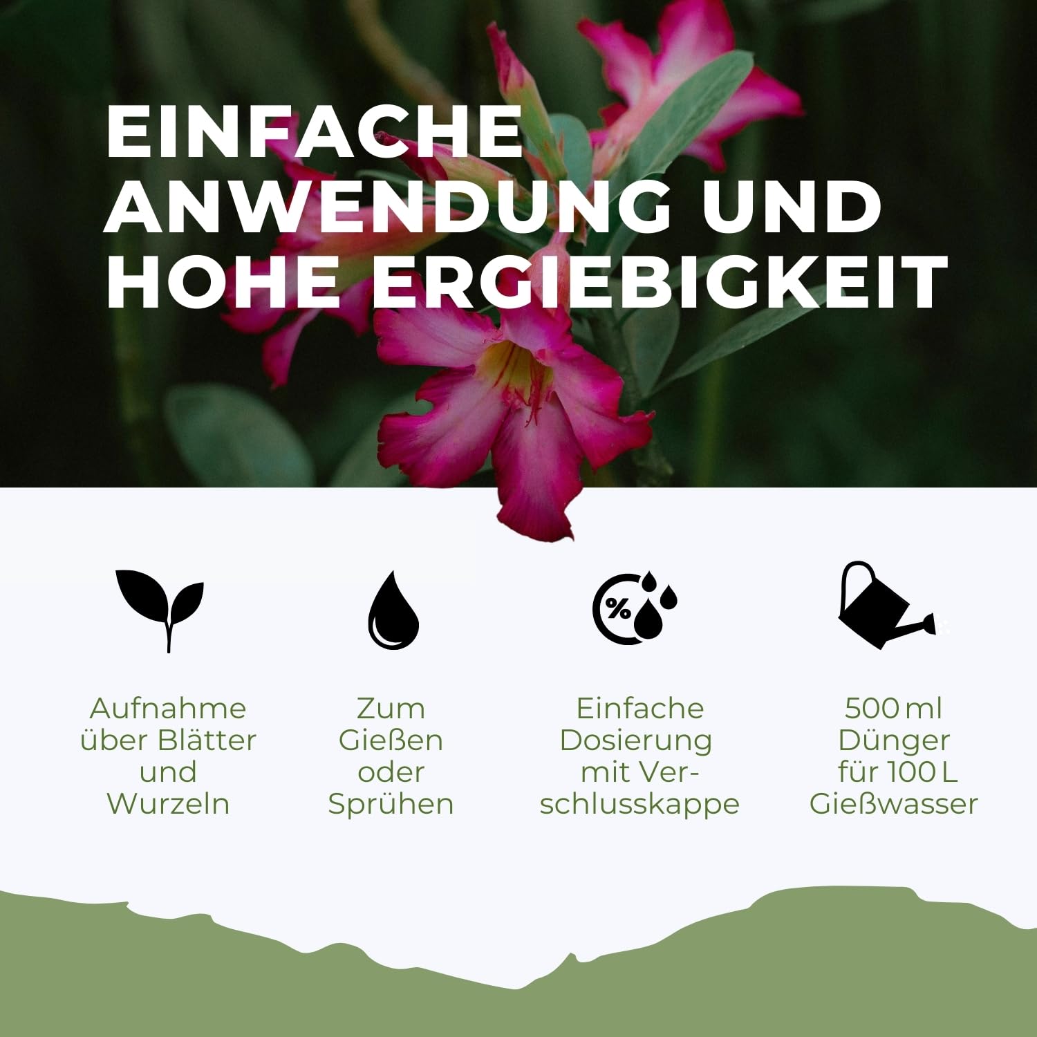 Wüstenrosen Dünger Flora Boost 5000ml I Für bis zu 1000L Gießwasser I Langzeit Blumendünger für Rosen I Flüssiger Blatt- & Wurzeldünger I 100% natürlicher Pflanzendünger