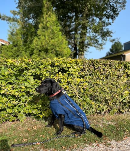 iEnergy™ OSC isolierende und warme Outdoor-Hundejacke mit Fleece-Innenfutter, windabweisender, ultraleichter und reflektierender Hundemantel, Ganzjahres-Hundeviespullover (Blau Groß)