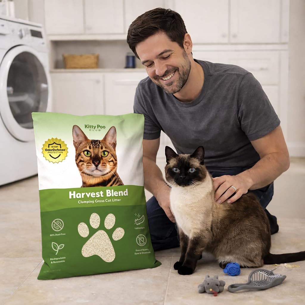 Kitty Poo Club Grass Cat Litter – Natural, Biodegradable Grass-Based Litter for Cats, Lightweight, Dust-Free, Superior Odor Control, Fast-Clumping Formula