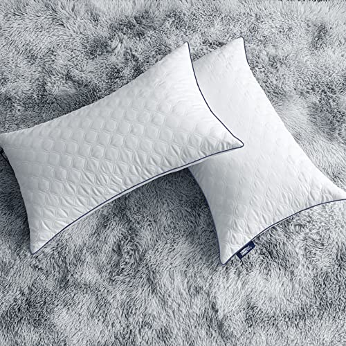 Bedstory 2 Pack Standard Size Hotel Collection Pillows, Hypoallergenic Luxury Bed Pillows For Sleeping, Skin-Friendly Down Alternative Pillows Won’t Go Flat Side Stomach Back Sleepers #TOP7