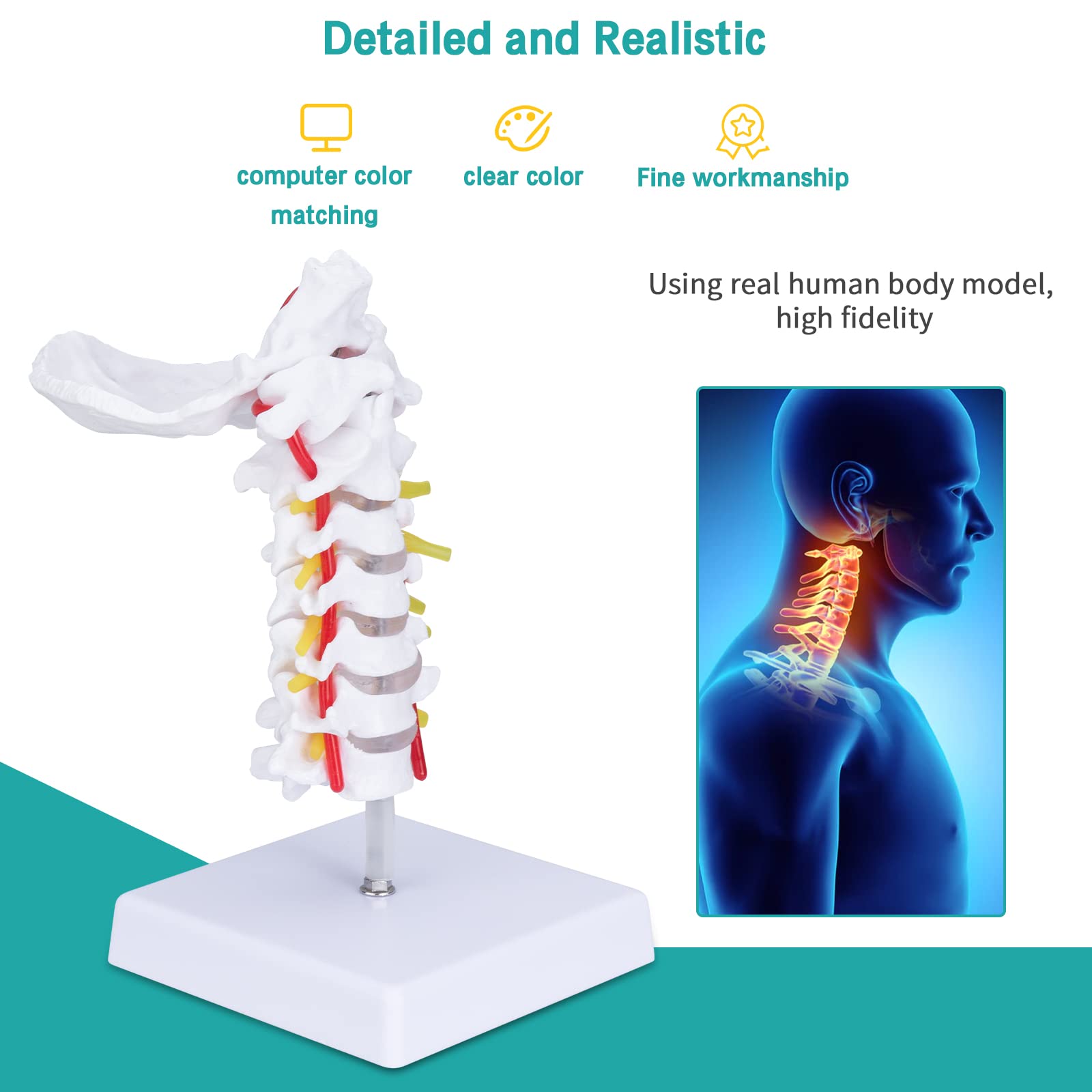 Chart, 4 in, 0 to 150 PSI, 7 Day, PK60