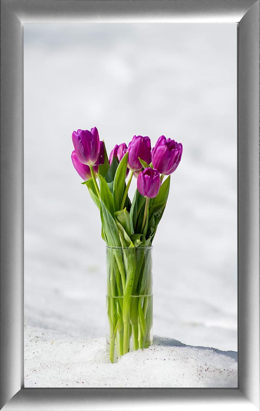 11x17 Silver Aluminum Snap Frame 1.0" Profile, Wall Mounted