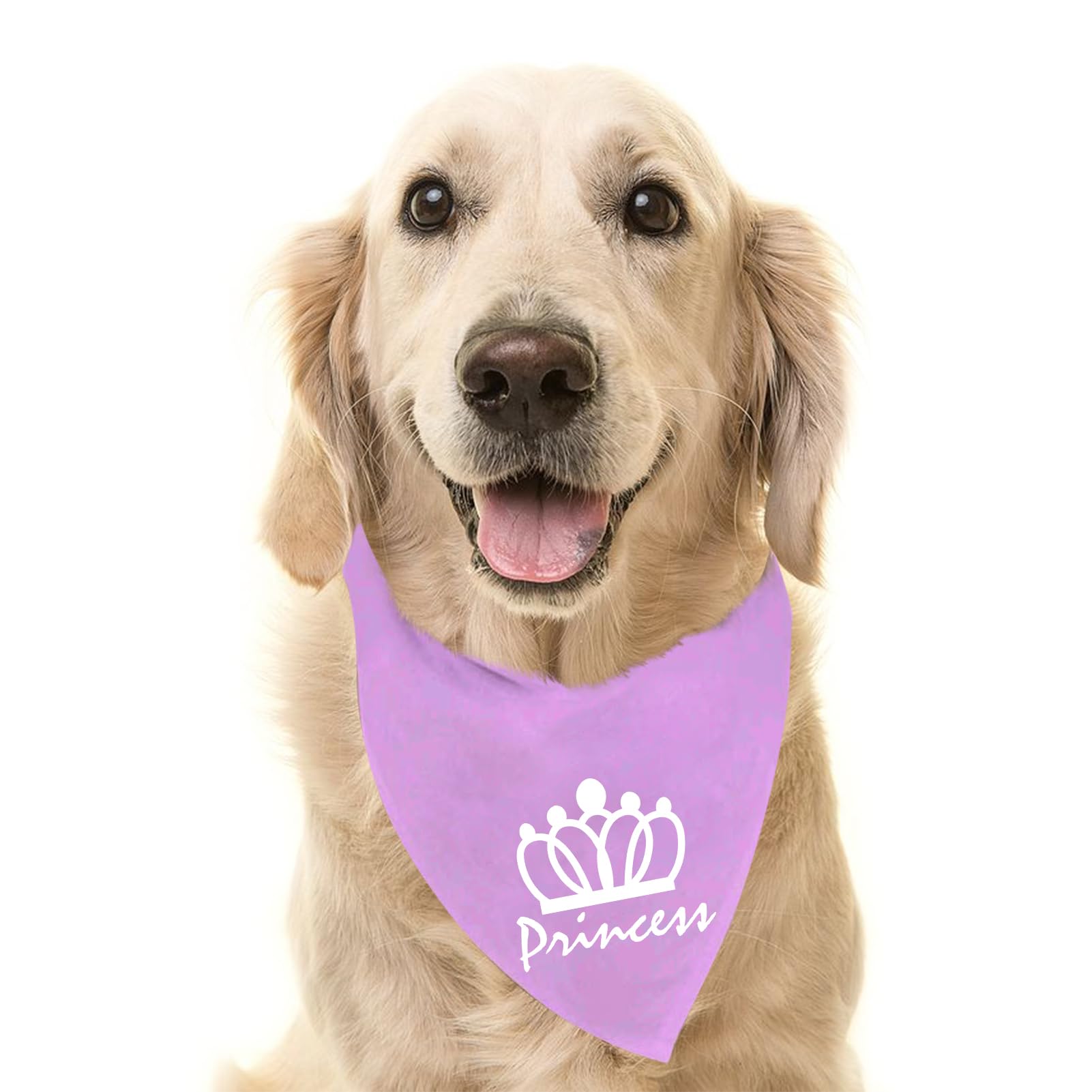 PUPTECK Dog Bandana - Triangle Bibs Scarf Pet Accessories, Photo Prop for Small Medium Large Dogs Girls, Purple Princess