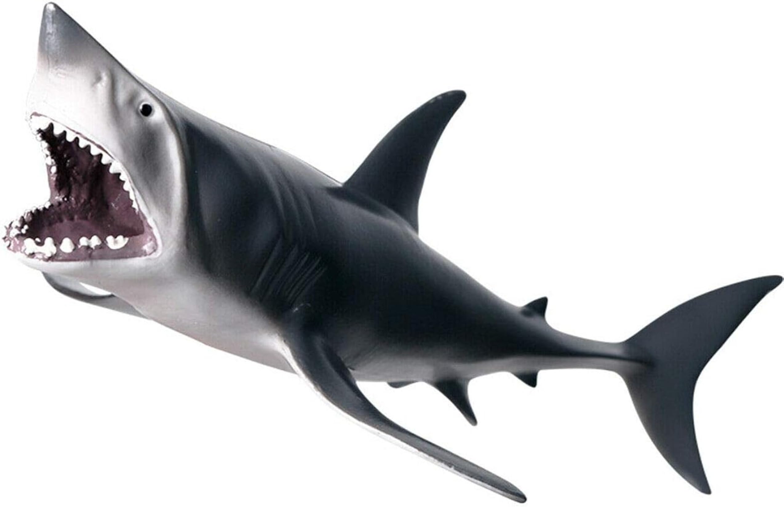 海の王者、ホホジロザメリアルフィギュア SKU250818T Amazon.co.jp: EUHELOPA ホホジロザメ サメ ホオジロザメ