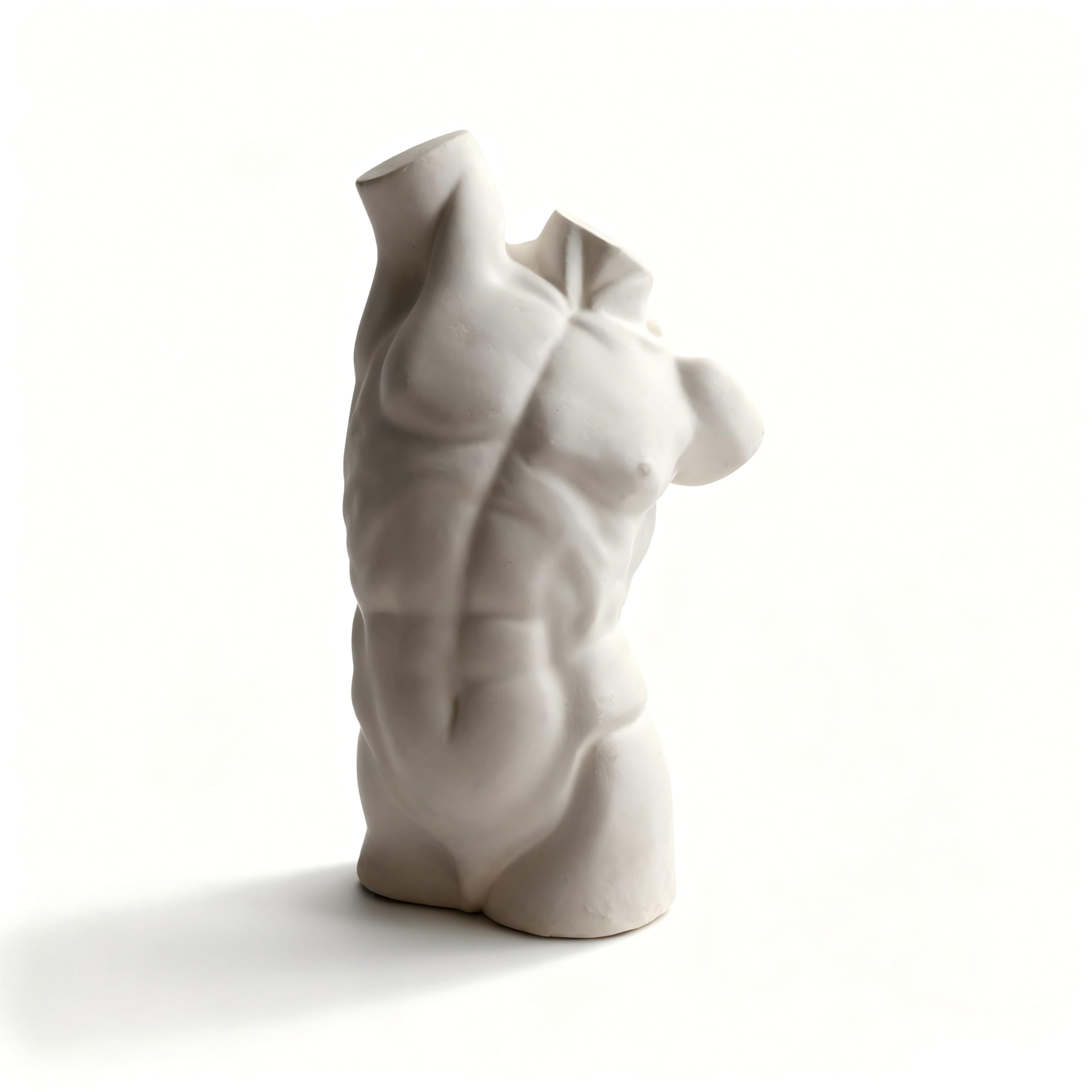 Dytartzx Male Torso Plaster Statue for Home Decor, Classical Gypsum Body Sculpture, Small Aesthetic Torso Figurine for Shelf Desk Bedroom Living Room Art Decoration