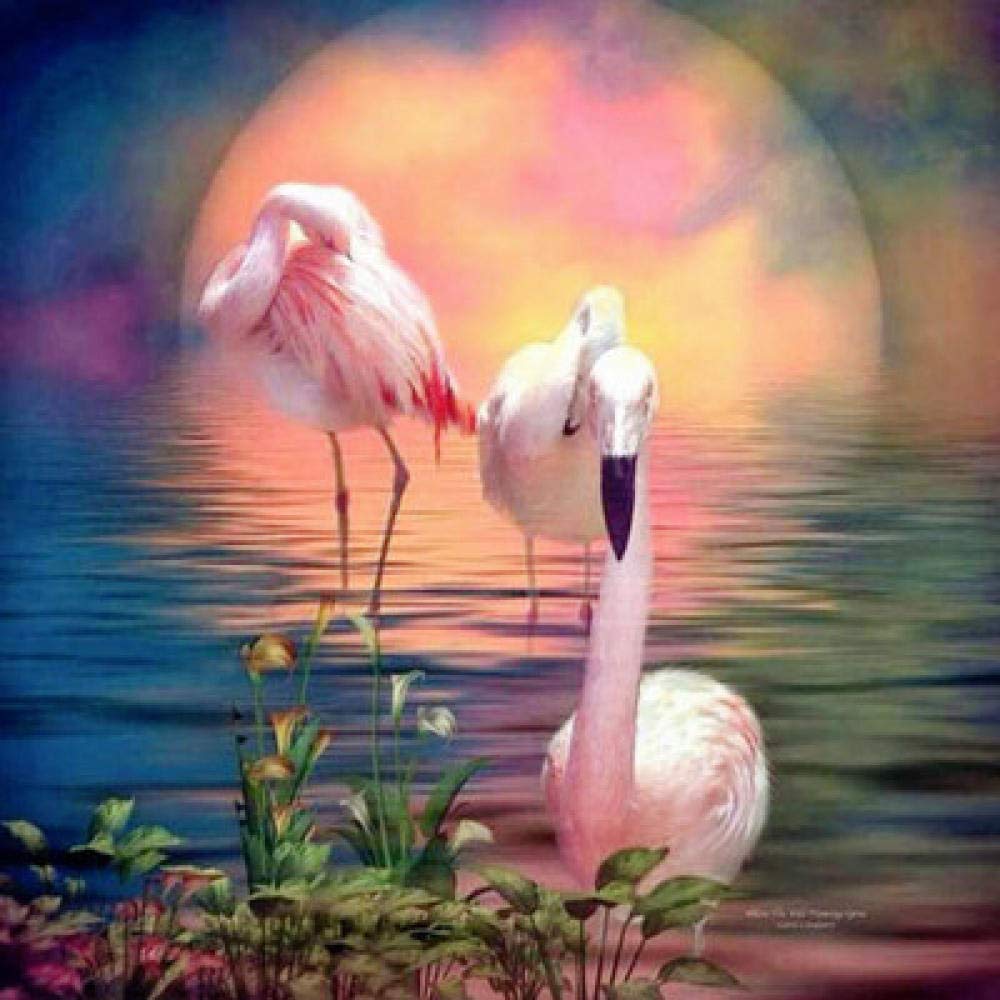 Peinture Diamant 5D Coucher de Soleil et Flamant Rose - Kit Point de Croix Complet en Résine 45x45 cm