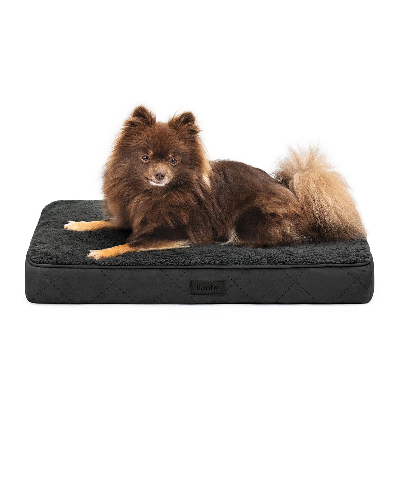 lionto Orthopaedic Dog Bed, 60 x 40 x 8 cm, Robust Dog Cushion with Soft Plush, Removable & Washable Cover, Water-Repellent