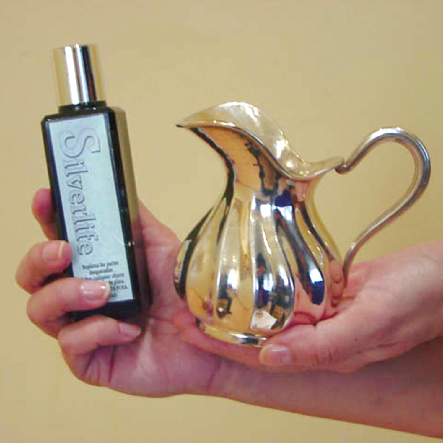 Silverlife Versilberungsmittel – Lässt abgenutzte Silberartikel wieder aufleben – Versilbert auch alle Gegenstände aus Hartmetall – Inhalt: 100 ml – 334347