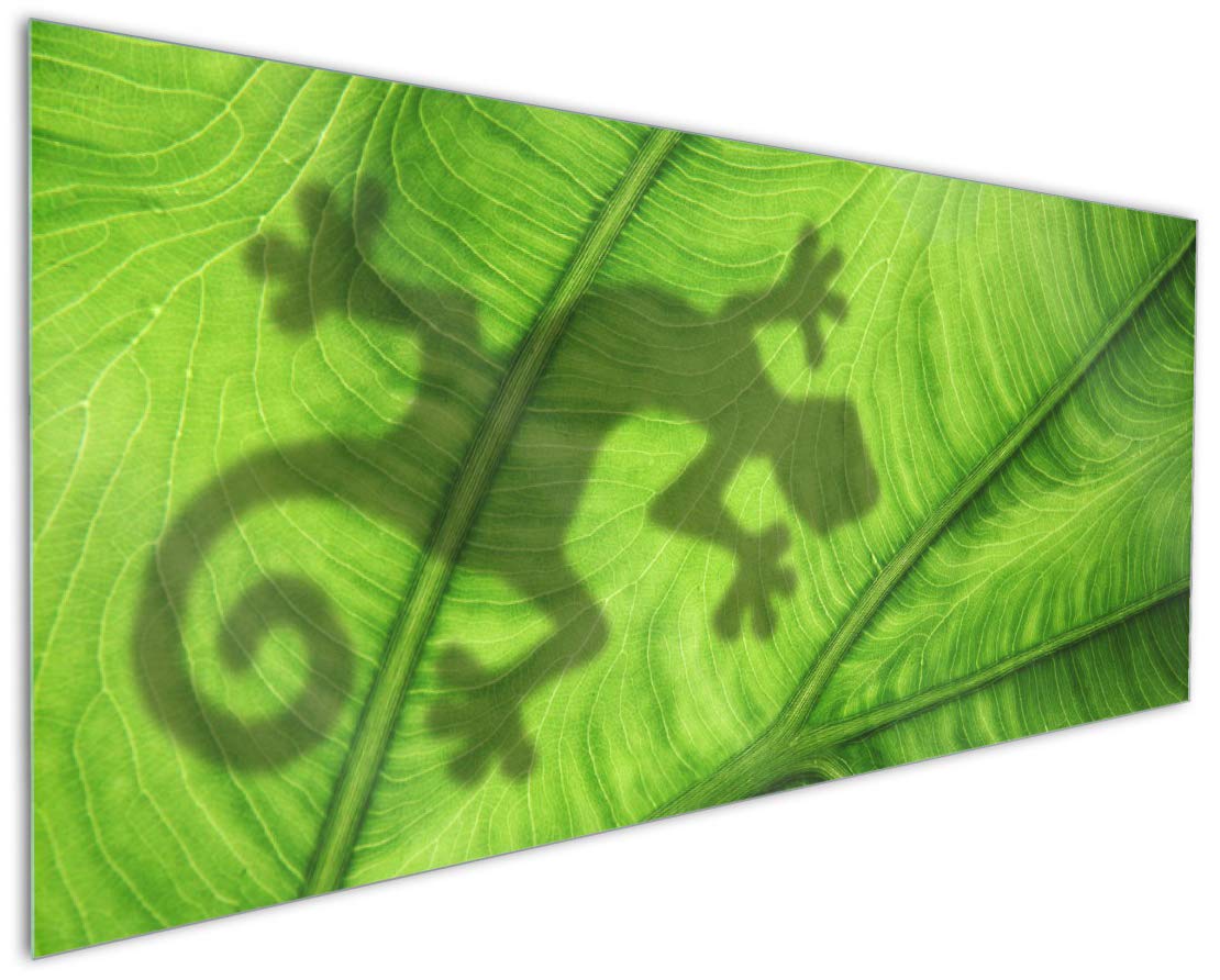 Wallario Küchenrückwand Aus Glas 125x50 Cm – Motiv Hundewelpen & Katzenjunge, Pflegeleichter Spritzschutz