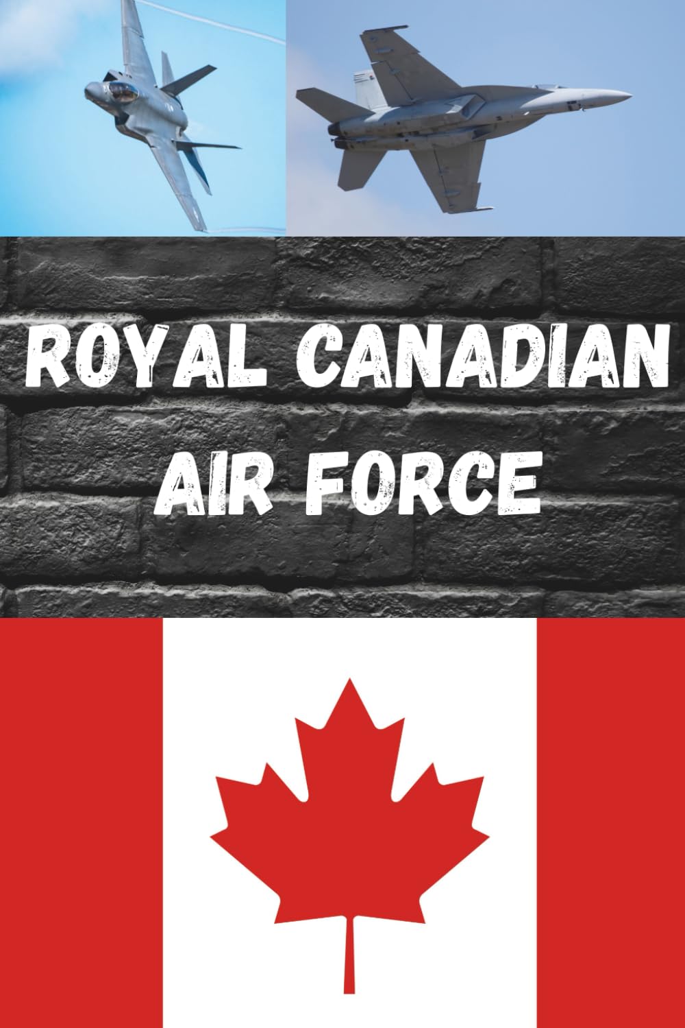 Wings of the North: The Aircraft of the Royal Canadian Air Force