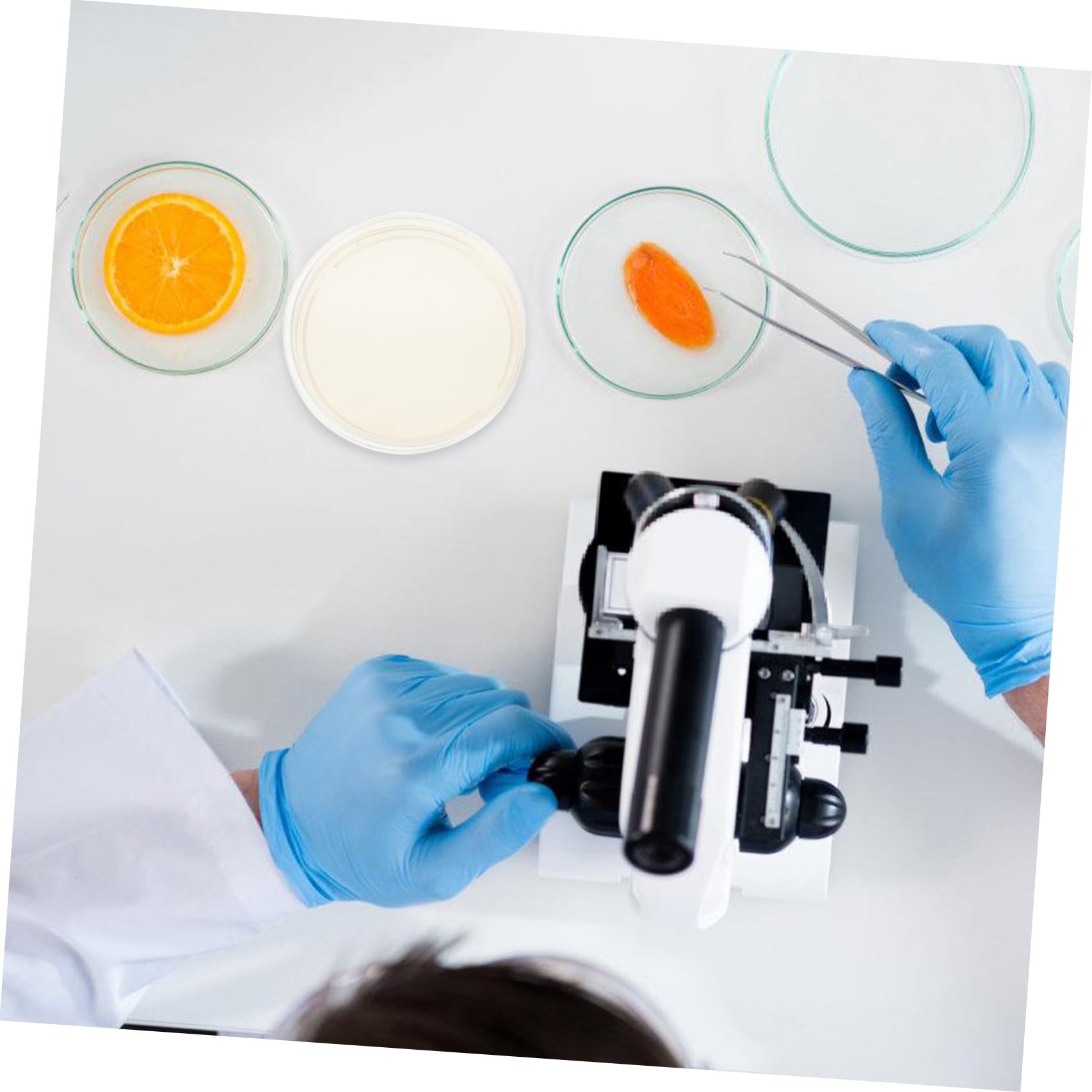CLISPEED Placas de Agar Nutritivo para Laboratorio de 9 CM, 20 Placas de Petri de Plástico Estériles Tapa para Cultivo de Hongos y Experimentos Científicos