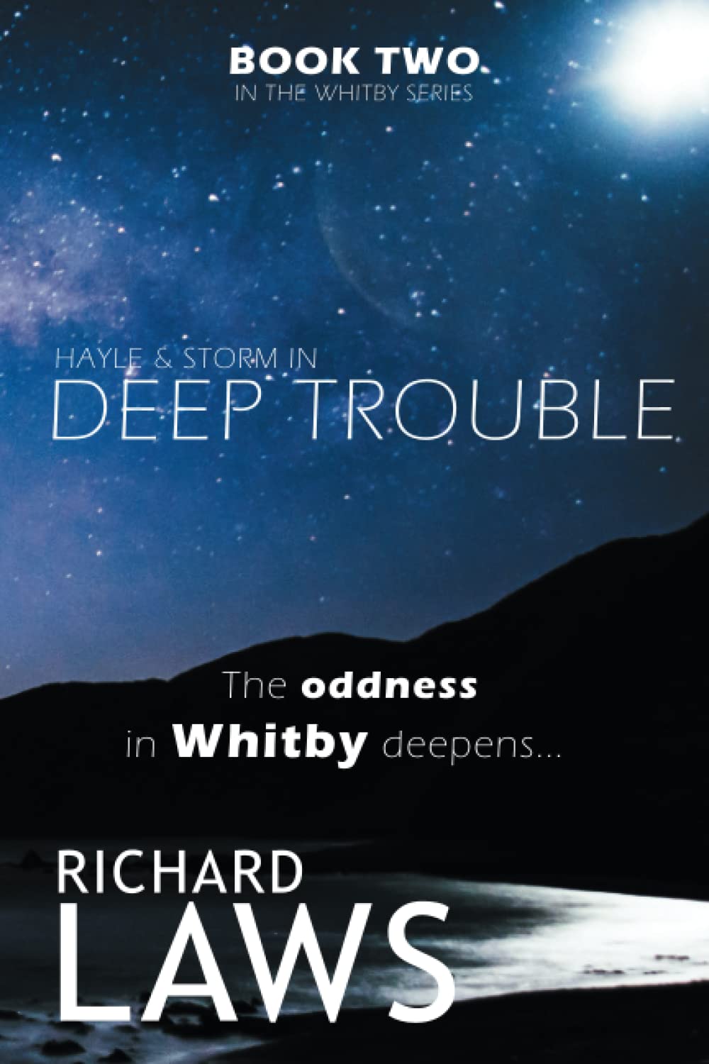 Deep Trouble: Hayle & Storm Book Two: 2