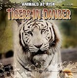 Tigers in Danger (Animals at Risk)