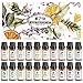 Produktbild OTU Naturreine Ätherische Öle (20 Packs), 20x10 ml 100% Reines Therapeutisches Öle Set, Pure Duftöl Bio Aromatherapieöle Geschenkset für Diffusor Massage & DIY 0.34 Fl Oz